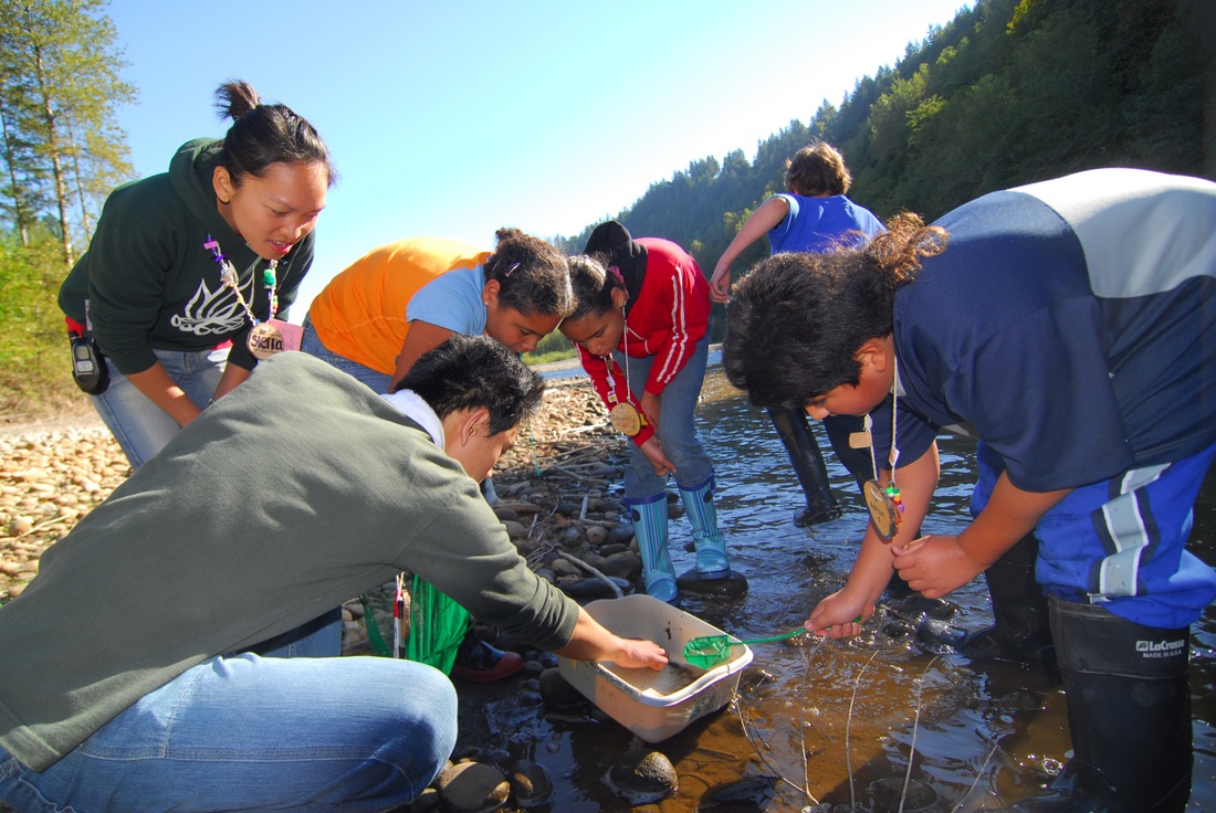 students catching critters in river
