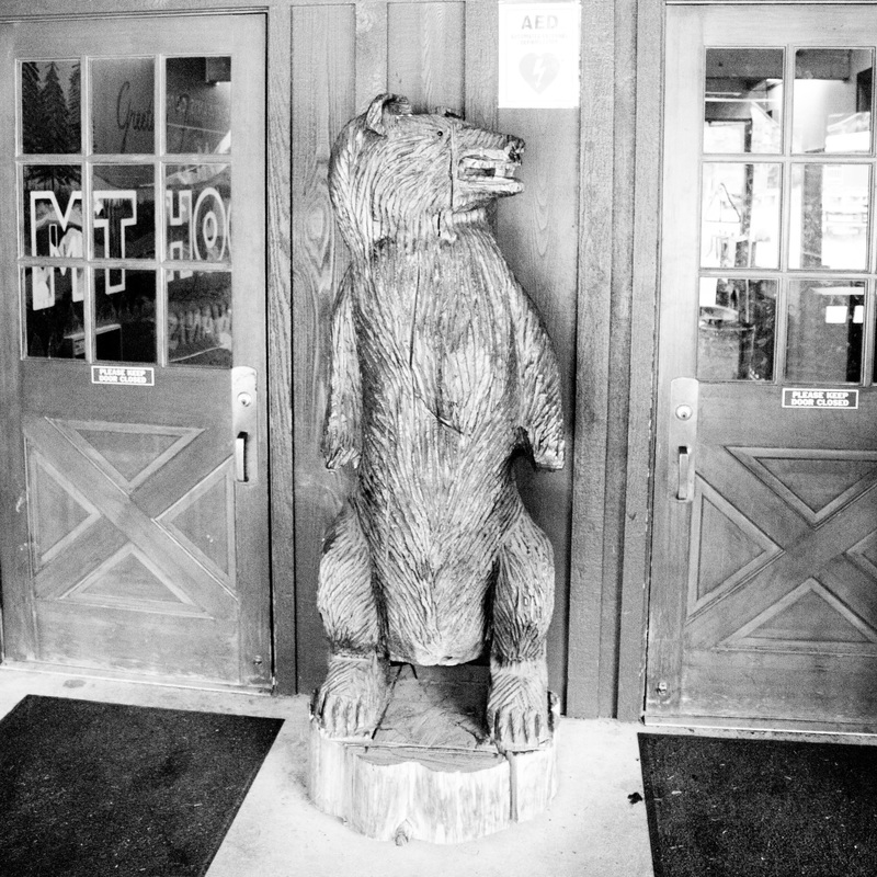 bear statue