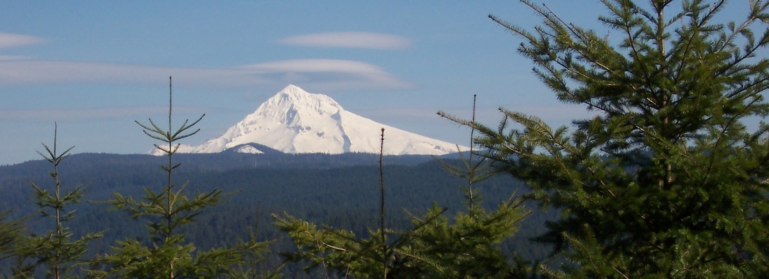 view of Mt. Hood from the outdoor campfire