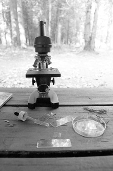 Microscope and associated equipment