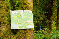 sign on a tree