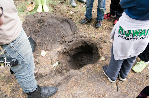 a group has dug a hole