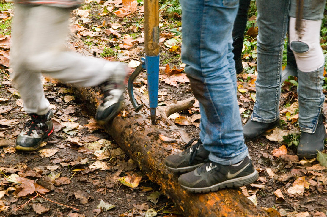 students standing on log