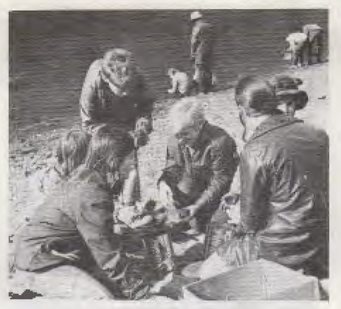 students learning on field study