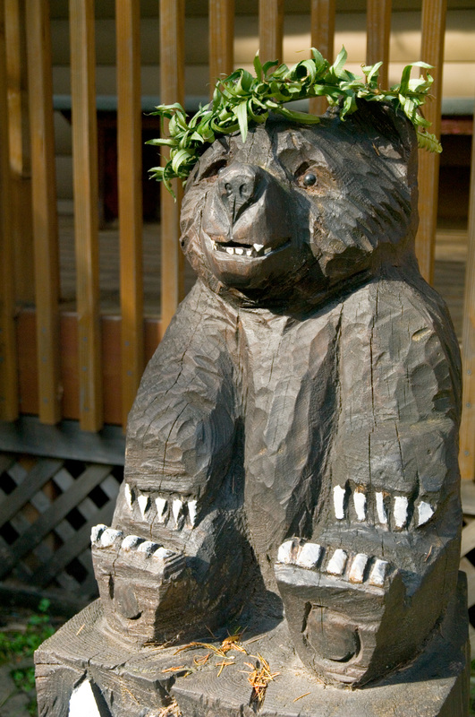 Bear statue by Animals field study