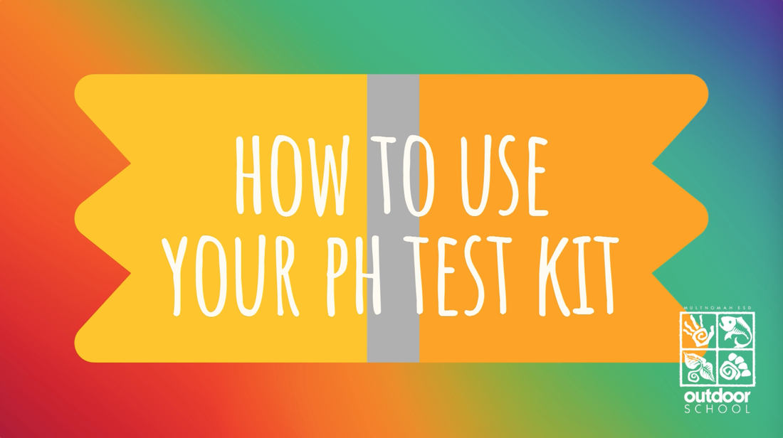 how to use your pH test kit
