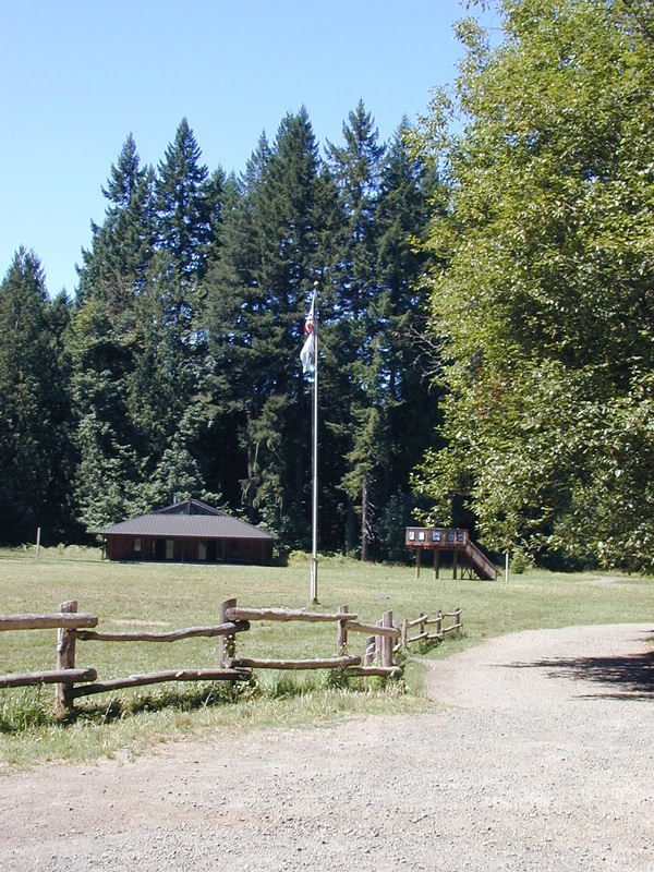 Flagpole and meadow