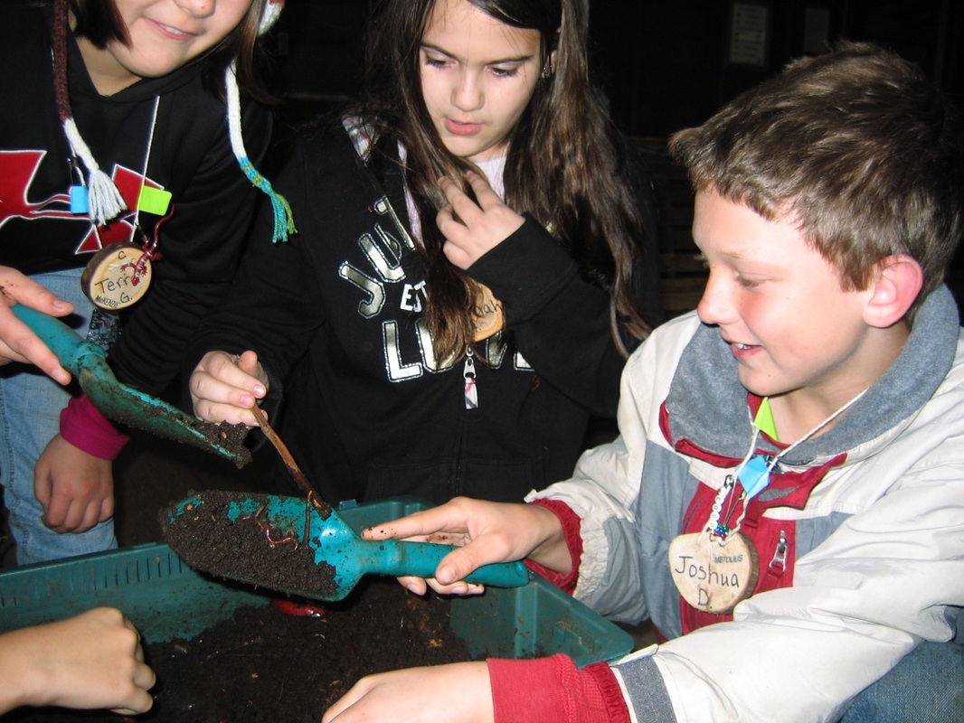 students digging in worm bin