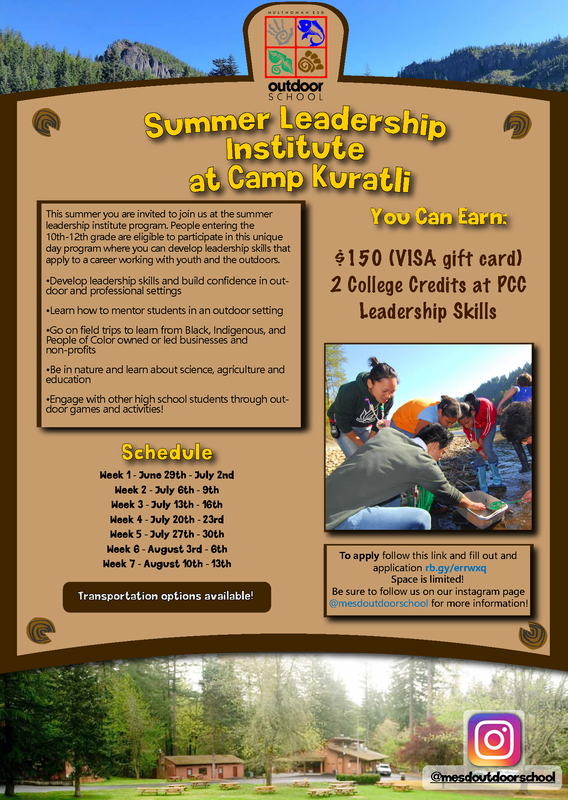 Summer Leadership Institute Flyer (text below)