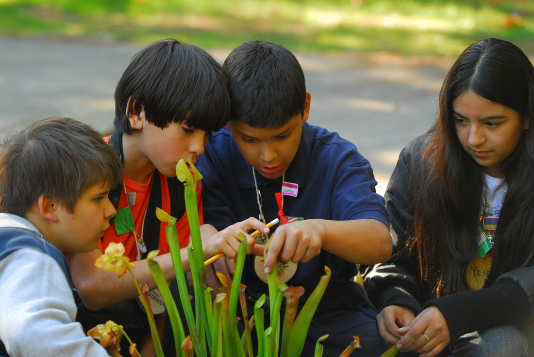 students studying carnivorous plants