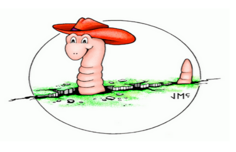 worm illustration
