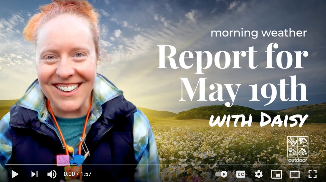 Morning Weather Report for May 19th