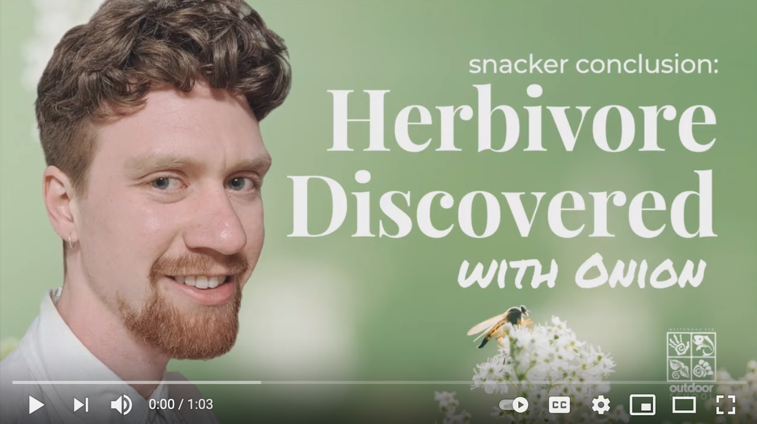 Herbivore Discovered