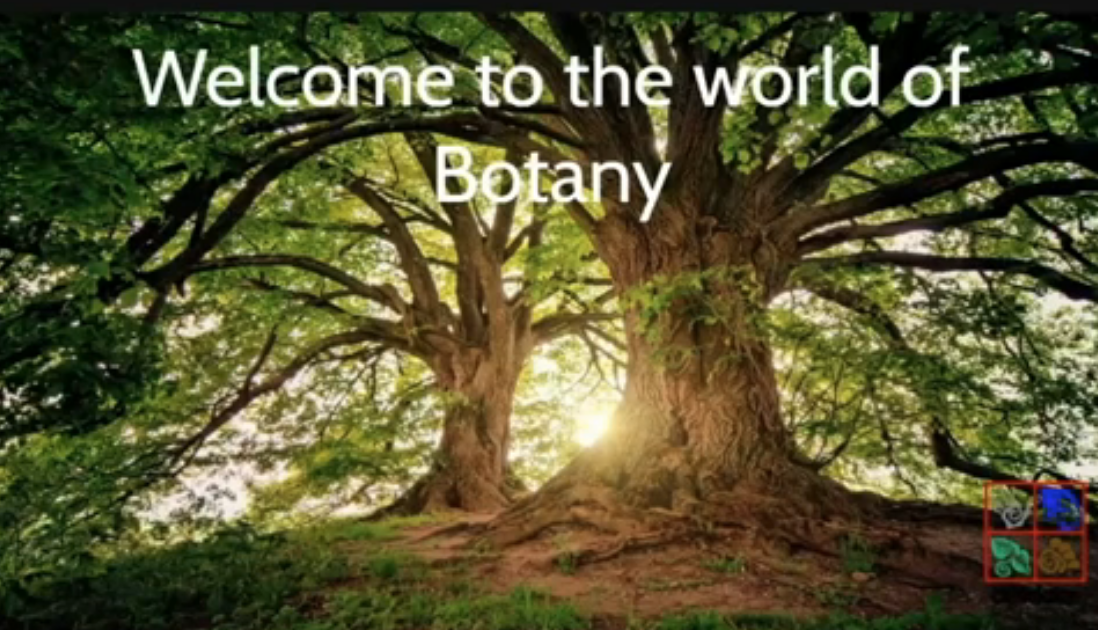 Welcome to the World of Botany